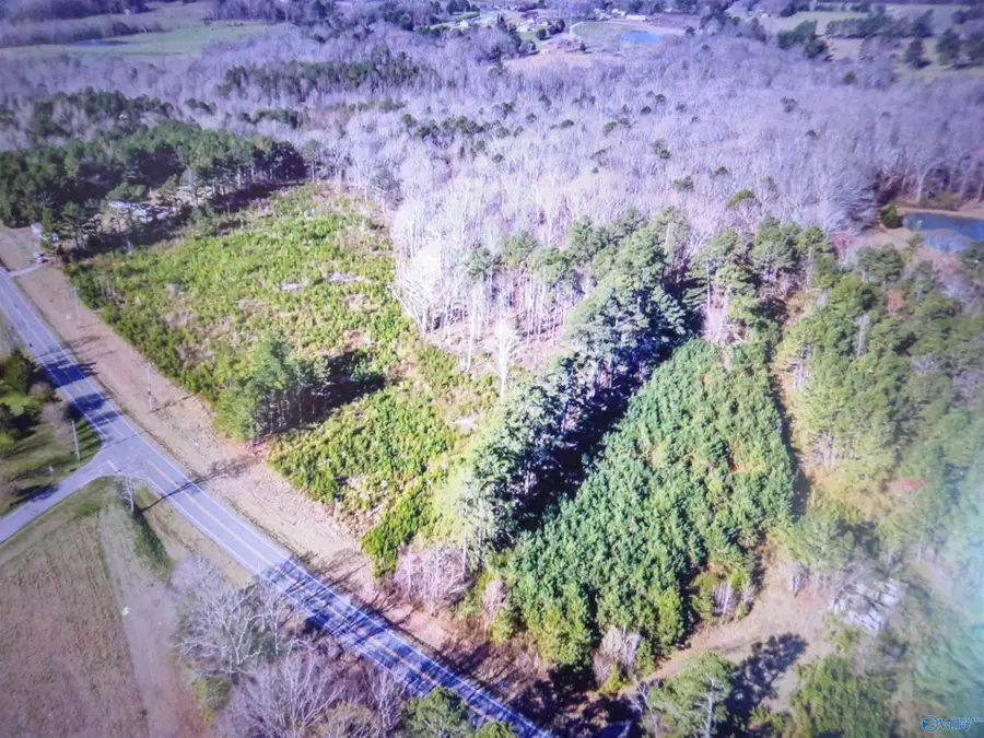5 ACRES Hwy 101, Town Creek, AL 35672 - #2