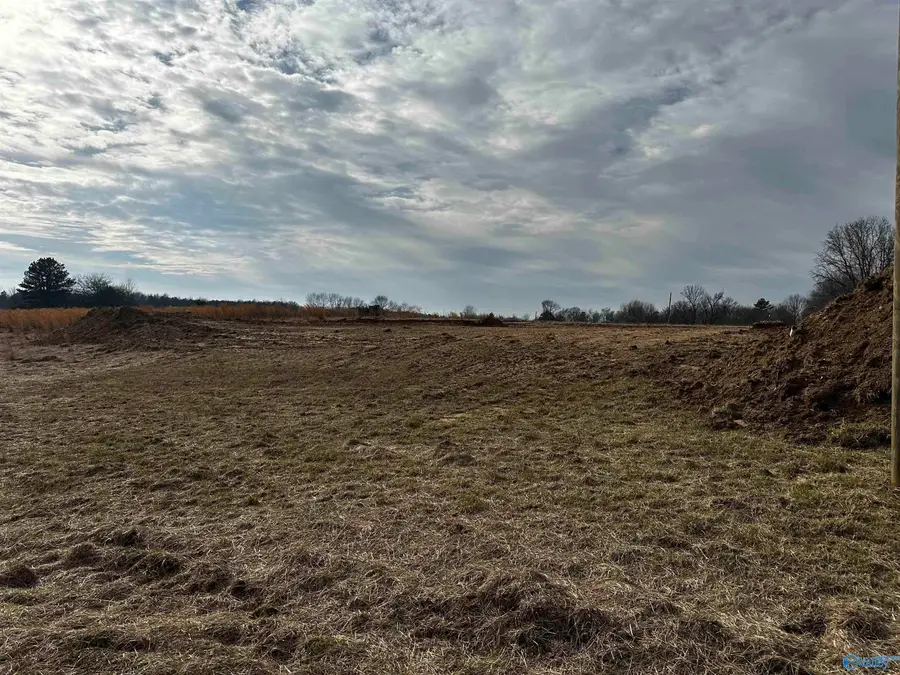 3371 County Road 445, Fort Payne, AL 35968 - #3