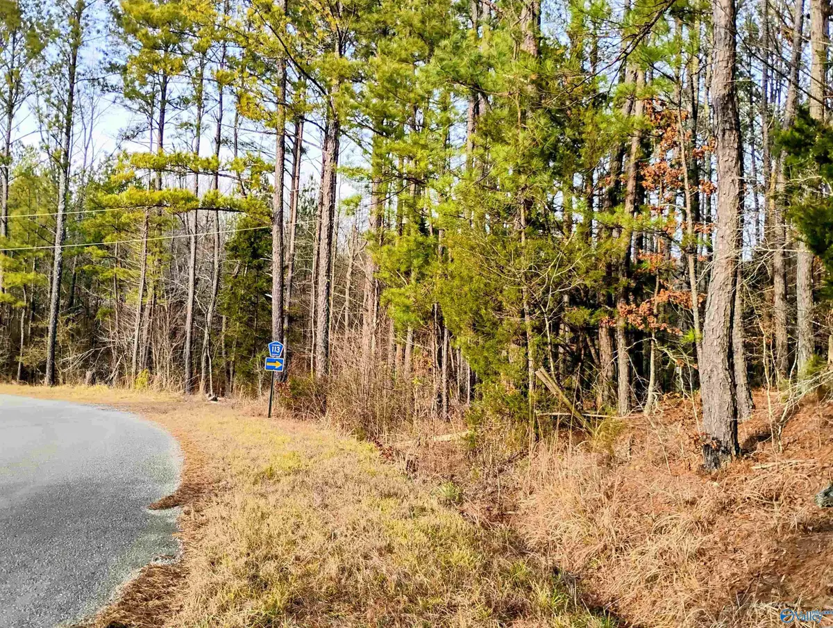 1400 County Road 113, Centre, AL 35960 - #1