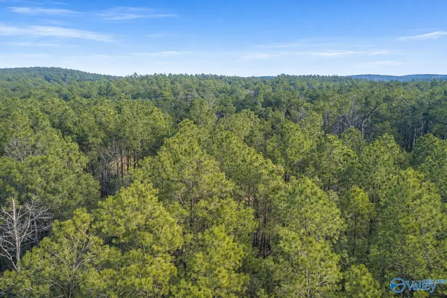 1400 County Road 113, Centre, AL 35960 - #3