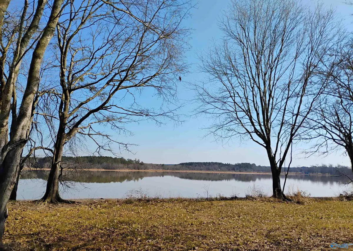 Lot 19 County Road 803, Centre, AL 35960 - #1