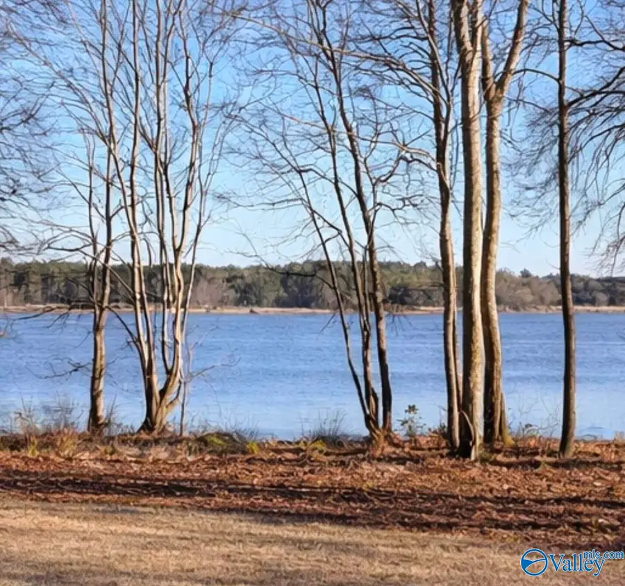 Lot 19 County Road 803, Centre, AL 35960 - #2