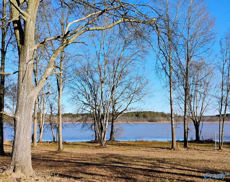 Lot 19 County Road 803, Centre, AL 35960 - #3