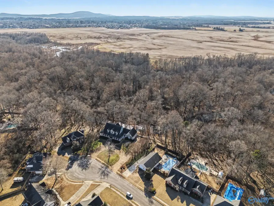 202 Andrea Kaye Court, Hazel Green, AL 35750 - #3