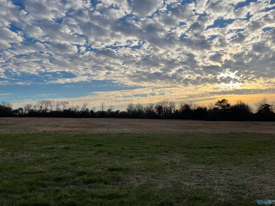 10 Hopewell Road, Arab, AL 35016 - #2