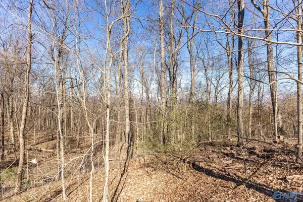 3709 Lookout Drive Se, Huntsville, AL 35801