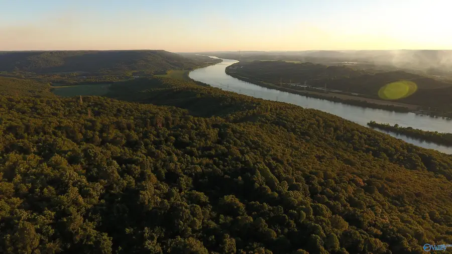 426 AC County Road 91, Bryant, AL 35958 - #3