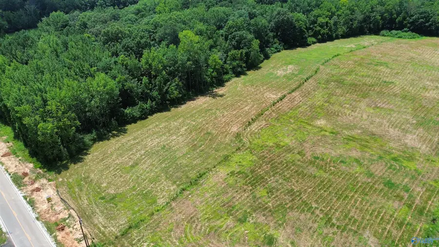 Tract 1 Hays Mill Road, Elkmont, AL 35620 - #3