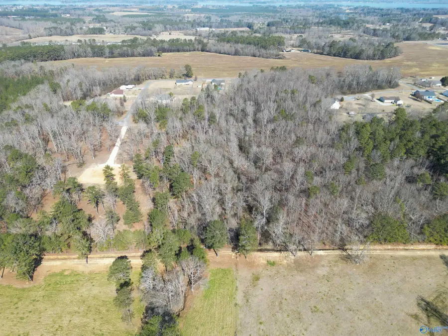 3.7 County Road 497, Centre, AL 35960 - #3