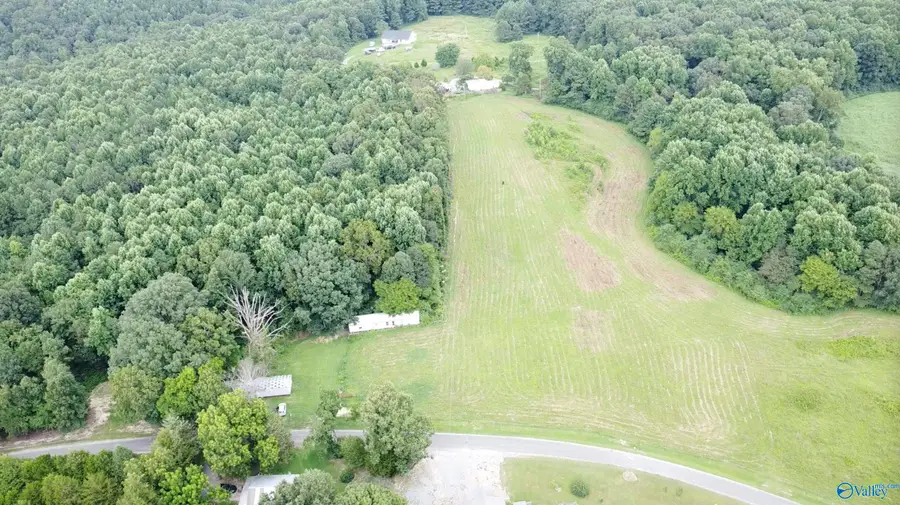 16 Acres County Road 1105, Vinemont, AL 35179 - #2