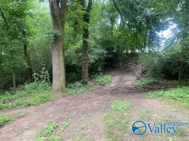 10B Thornhill Road, Boaz, AL 35956 - #2