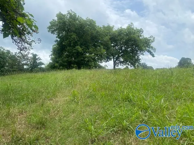 10B Thornhill Road, Boaz, AL 35956 - #3