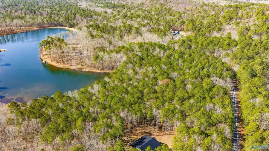 Lot 32 County Road 103, Mentone, AL 35984 - #2