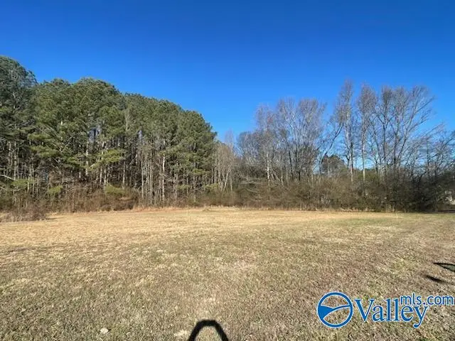 lot 2 Summertree Way Ne #lot 2, Arab, AL 35016 - #2