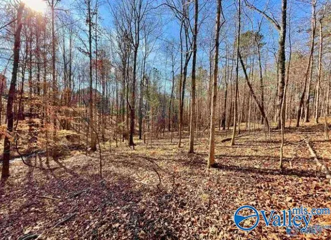 5939 Valley Way, Trussville, AL 35173 - #2