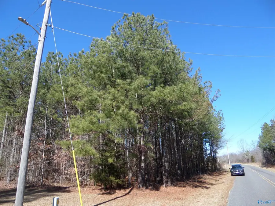 2225 County Road 55, Centre, AL 35960 - #2