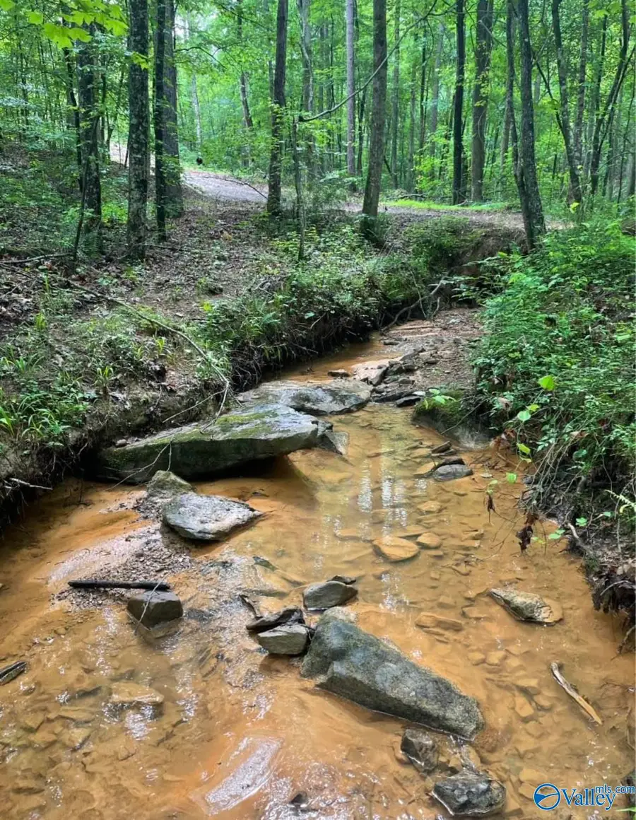 10 Acres Mountain Drive, Remlap, AL 35133 - #3