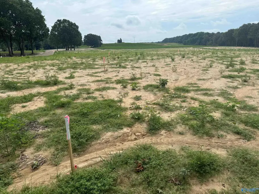 lot 58 County Road 115, Cedar Bluff, AL 35959 - #2