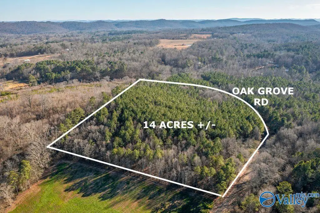 14 Acres +/- Oak Grove Road, Attalla, AL 35954 - #1