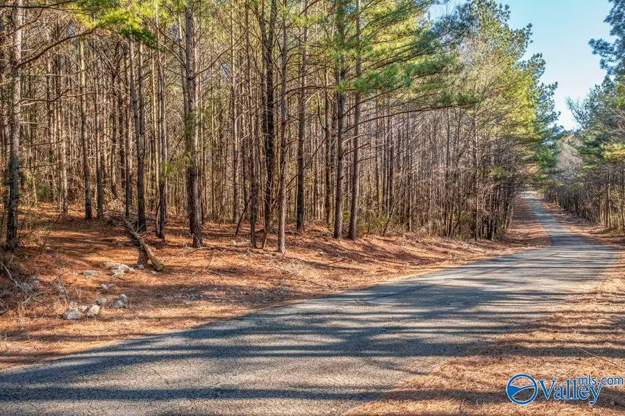 14 Acres +/- Oak Grove Road, Attalla, AL 35954 - #3