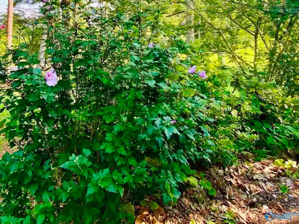 196 Space Road, Bessemer, AL 35023