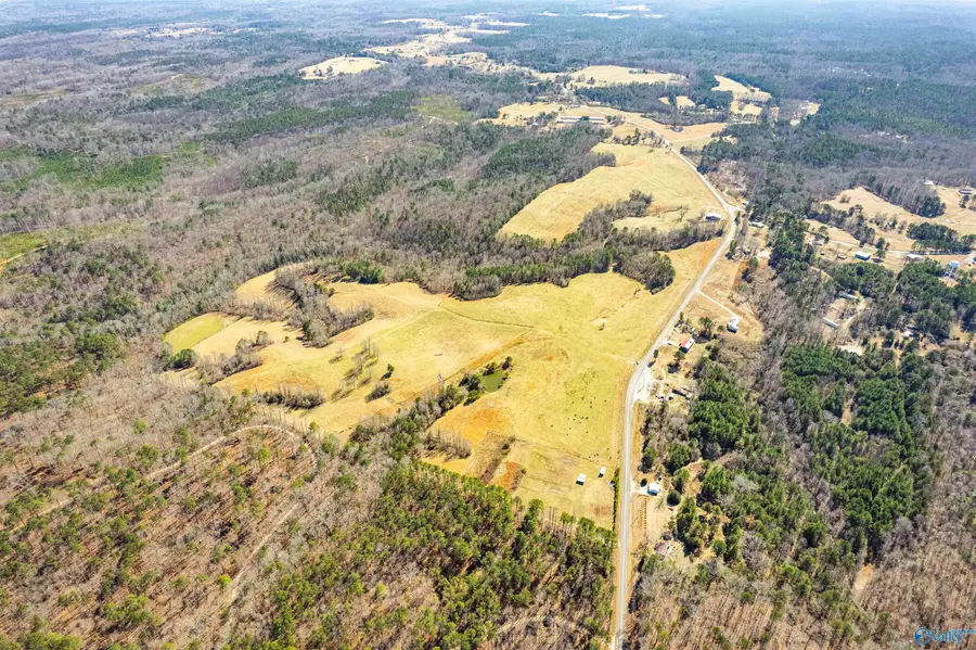 137 acres County Road 63, Houston, AL 35572 - #2