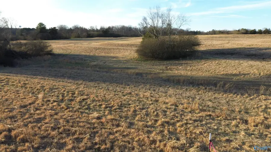 3.12 Ester Road, Grant, AL 35747 - #3