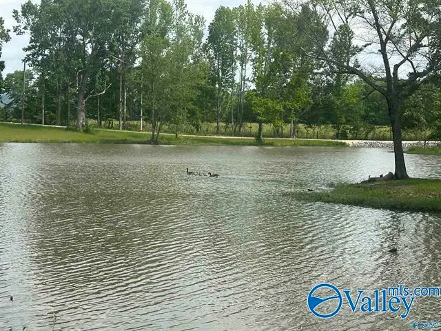 Lot 6 & 7 County Road 115 #LOT 6&7, Cedar Bluff, AL 35959 - #1