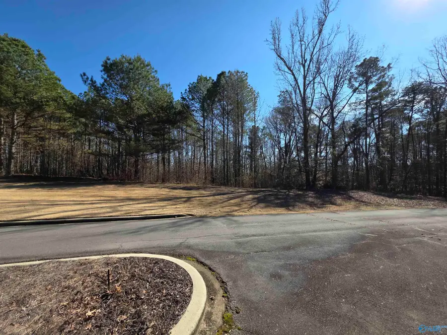 LOT 146 County Road 177, Cullman, AL 35504 - #2