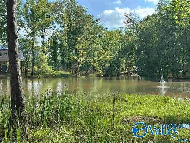 1725 County Road 182 #lOT 18, Cedar Bluff, AL 35959 - #1