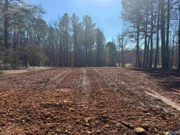 17315 Alabama Highway 251, Athens, AL 35613
