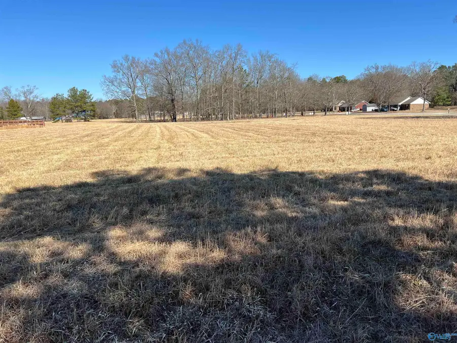 8 Sandlin Road, Elkmont, AL 35620 - #2