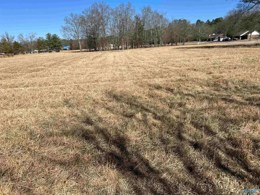 8 Sandlin Road, Elkmont, AL 35620 - #3