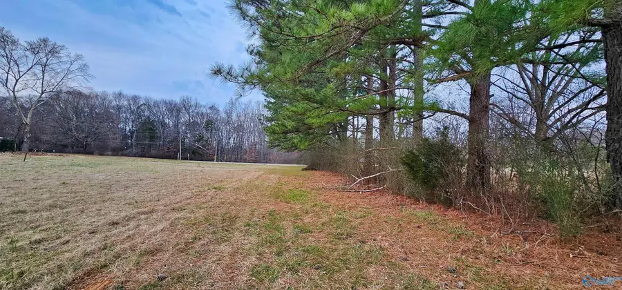 166 Steakley Road, New Market, AL 35761 - #3