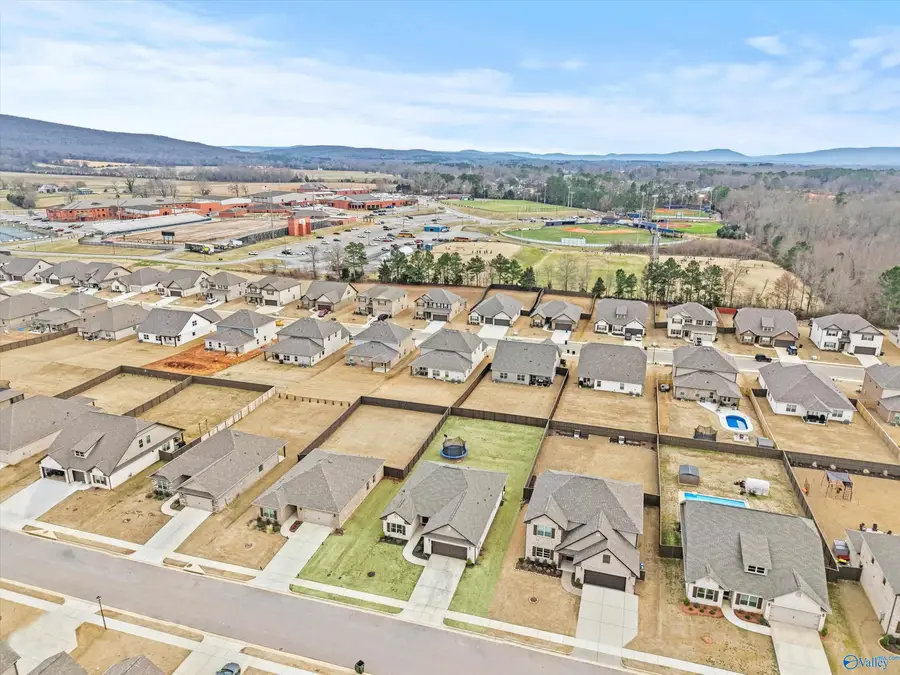 228 Paladin Street, New Market, AL 35761 - #3