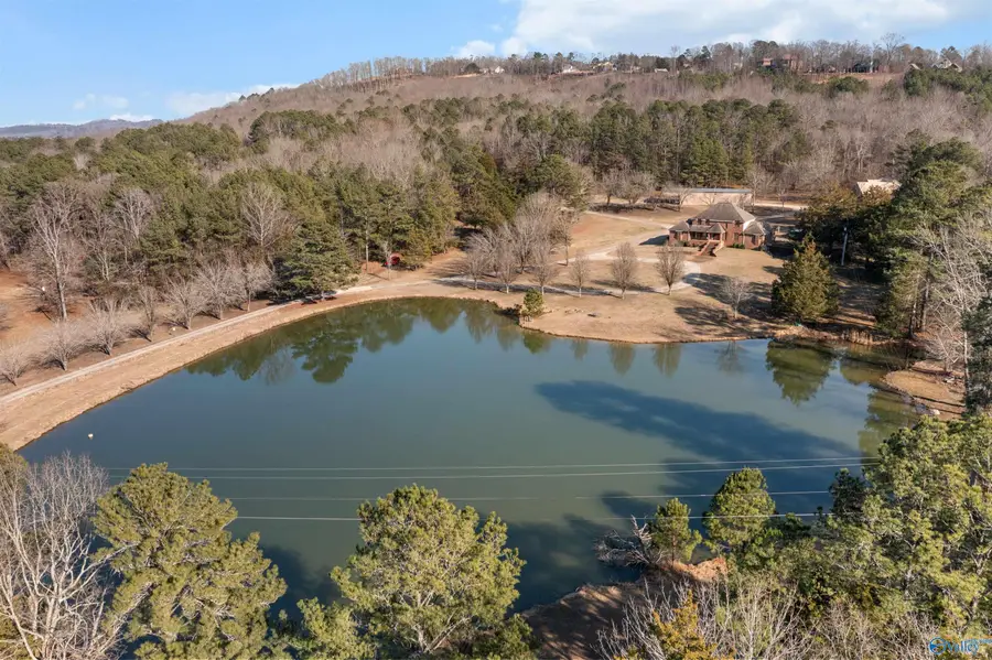 911 Sibert Circle, Glencoe, AL 35905 - #3