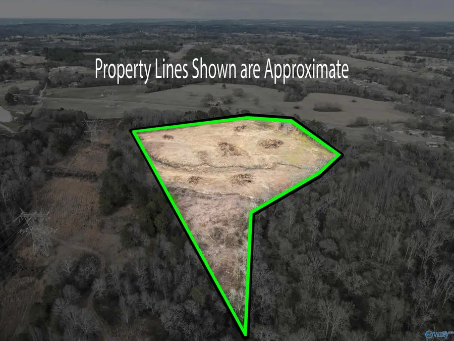 17.2 Goodwin Road, Albertville, AL 35951 - #2