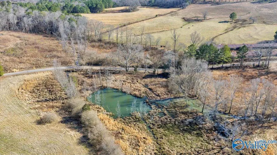 95 County Road 970, Logan, AL 35098 - #2