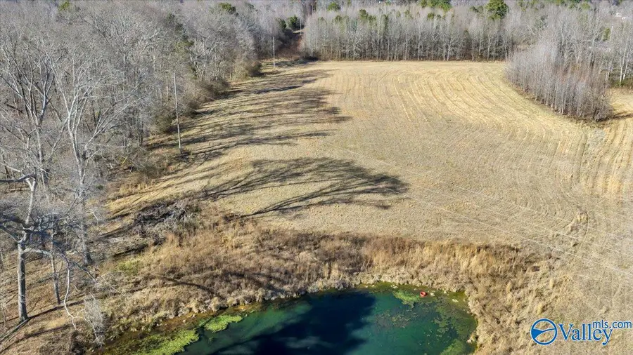 95 County Road 970, Logan, AL 35098 - #3