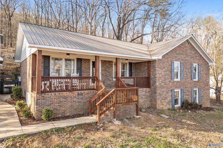 205 Walter Bird Drive, Owens Cross Roads, AL 35763 - #3