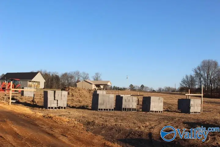 368 County Road 244, Fort Payne, AL 35968 - #2