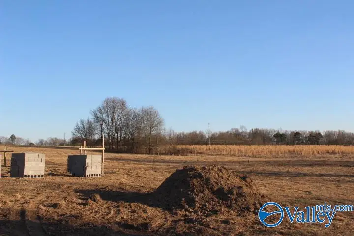 368 County Road 244, Fort Payne, AL 35968 - #3