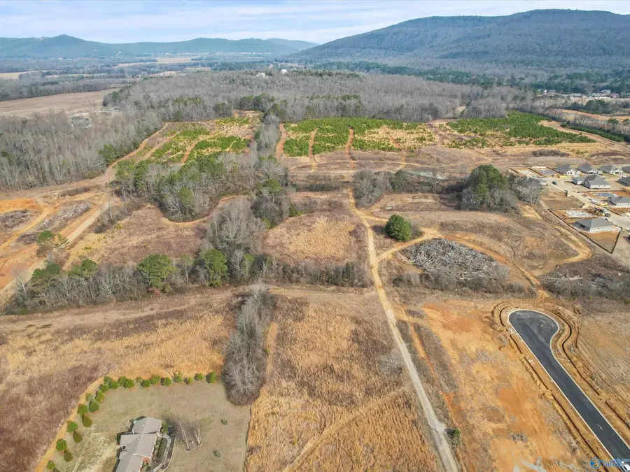 5.25 acres Hawkins Lane, Gurley, AL 35748 - #3