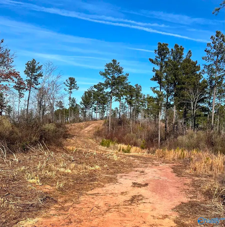 27 Magnolia Drive, Piedmont, AL 36272 - #2