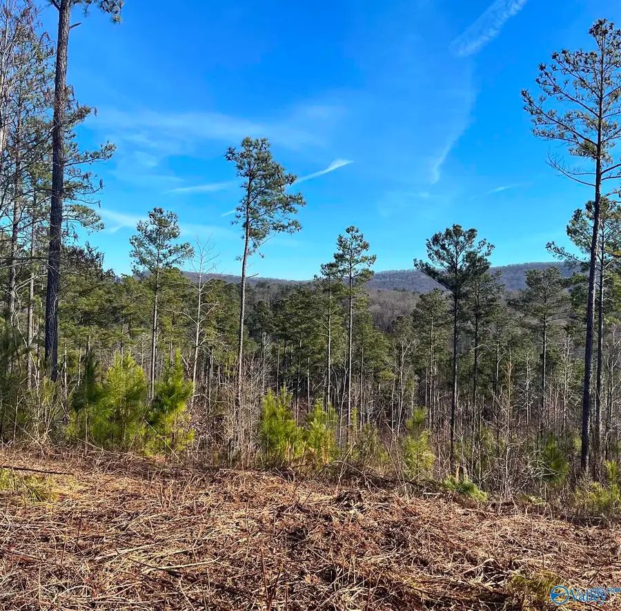 27 Magnolia Drive, Piedmont, AL 36272 - #3