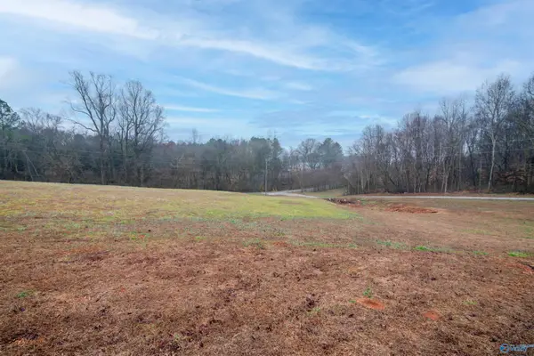 002 Witty Mill Road, Elkmont, AL 35620