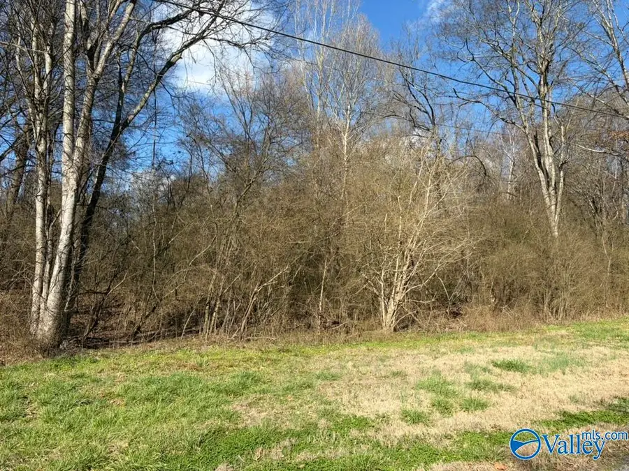 02 Roberts Circle, Guntersville, AL 35976 - #2