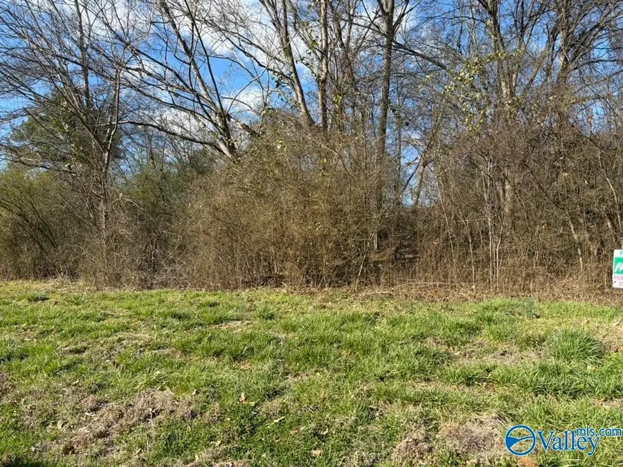 02 Roberts Circle, Guntersville, AL 35976 - #3