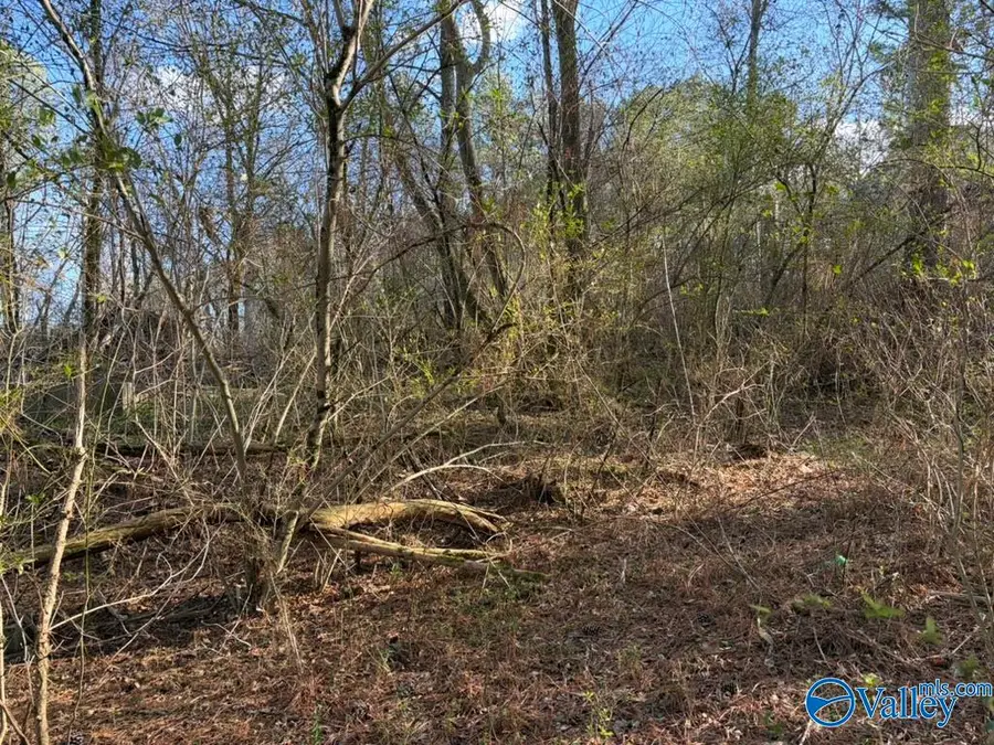 5288 Hwy 75, Albertville, AL 35950 - #3