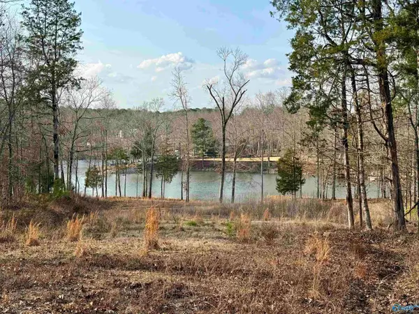1.48 Acres River Cliff Drive, Gadsden, AL 35901